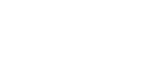Alpine Solutions Group