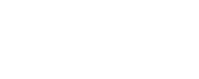 Dragonfly Logo Navy and Blue - Edited