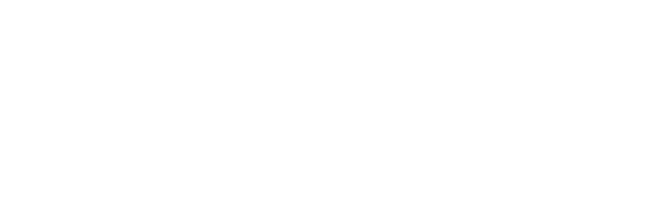 PwC-Logo-1